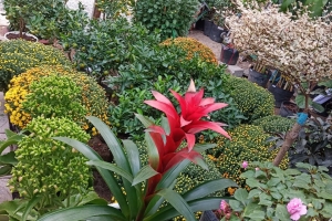 Gía trị cốt lõi