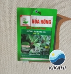 RAU ĐAY ĐỎ HN-13