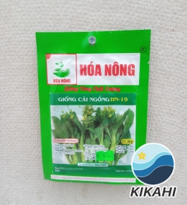 GIỐNG CẢI NGỒNG HN-19