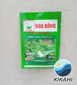 GIỐNG HÚNG LŨI HN-08