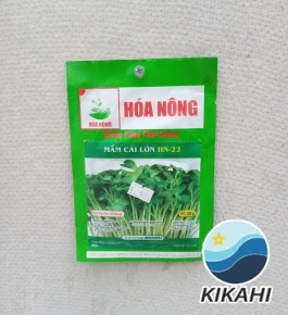 MẦM CẢI LỚN HN-22