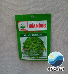 XÀ LÁCH XOĂN XANH