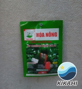 ỚT CHUÔNG NGỌT LAI F1