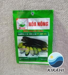 GIỐNG CÀ TÍM LAI F1 HN-33