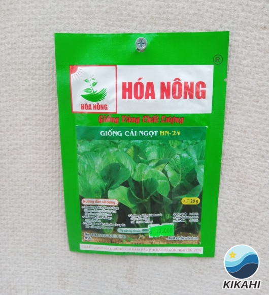GIỐNG CẢI NGỌT HN-24