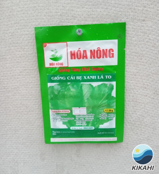 CẢI BẸ XANH LÁ TO