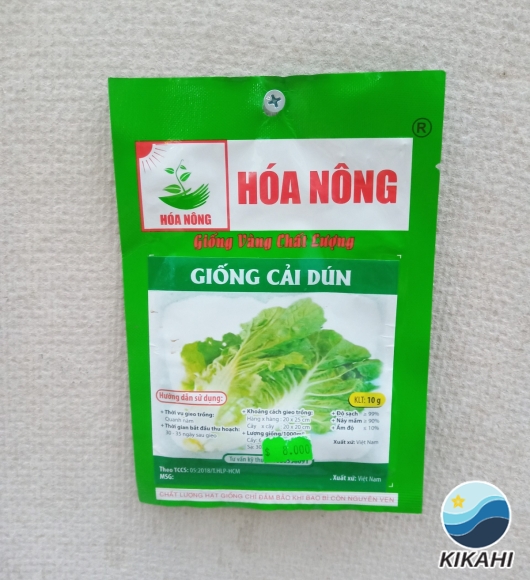 GIỐNG CẢI DÚN
