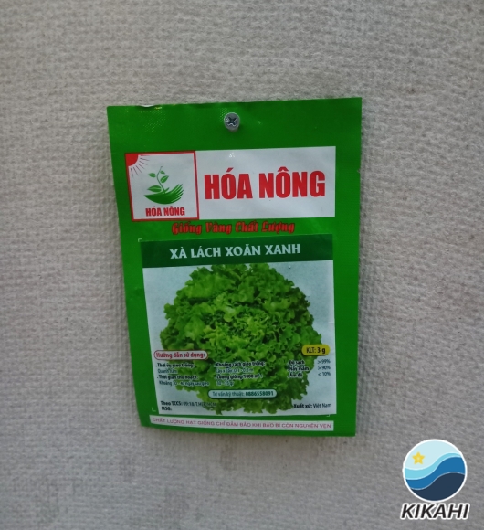 XÀ LÁCH XOĂN XANH