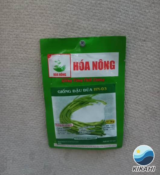 GIỐNG ĐẬU ĐŨA HN-03