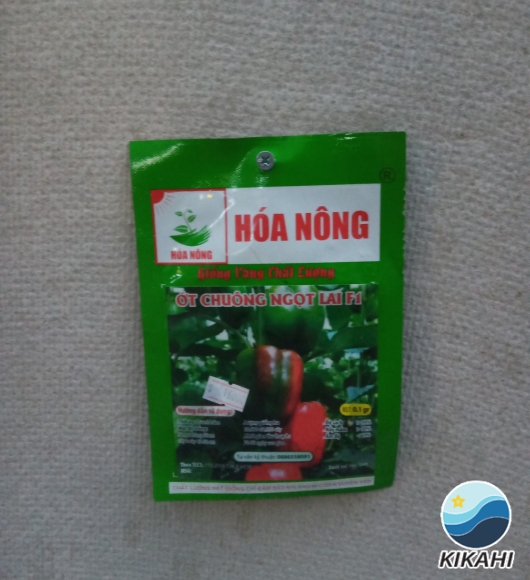 ỚT CHUÔNG NGỌT LAI F1