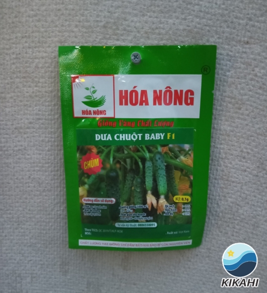 DƯA CHUỘT BABY F1