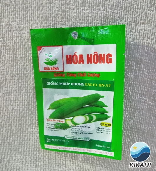 GIỐNG MƯỚP HƯƠNG HN-37