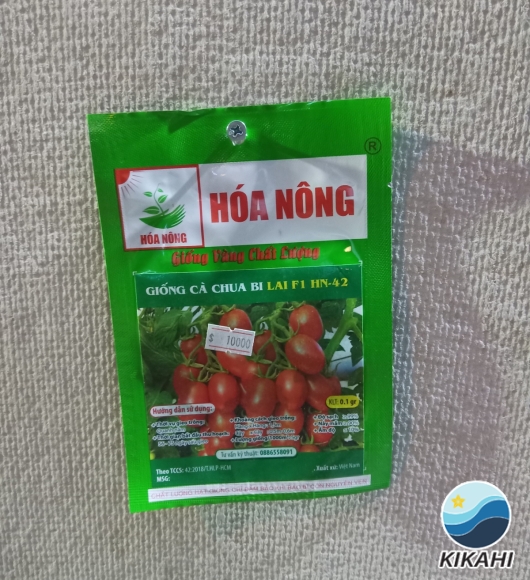 CÀ CHUA BI LAI F1 HN-42