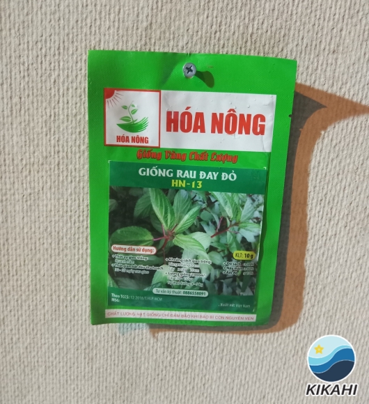 RAU ĐAY ĐỎ HN-13